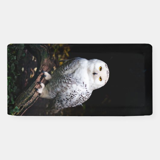 Schneeeule Banner (Horizontal)