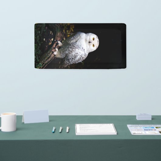 Schneeeule Banner (Messe)