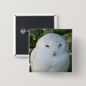 Schneeeule Button (Vorne & Hinten)