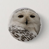 Schneeeule Button (Vorderseite)