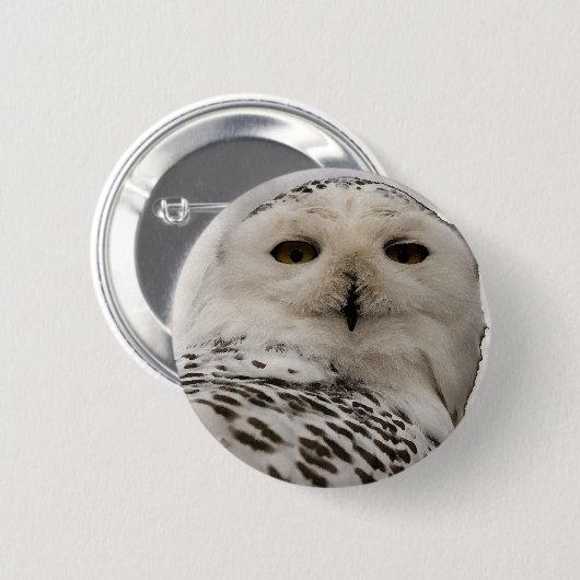 Schneeeule Button (Vorne & Hinten)