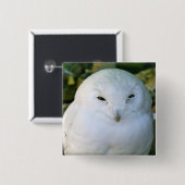 Schneeeule Button (Vorne & Hinten)