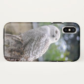 Schneeeule... Case-Mate iPhone Hülle (Rückseite (Horizontal))