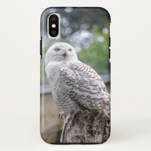 Schneeeule... Case-Mate iPhone Hülle