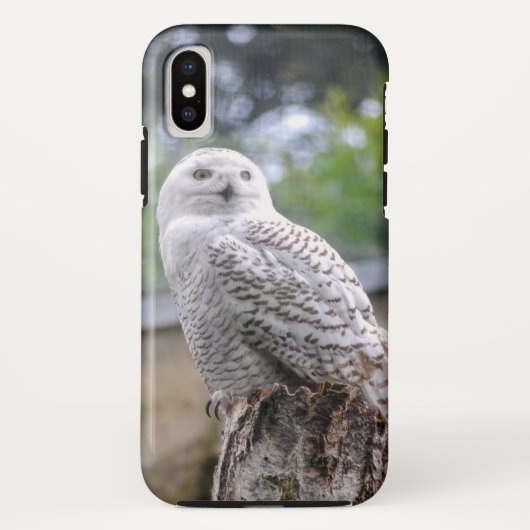 Schneeeule... Case-Mate iPhone Hülle (Rückseite)