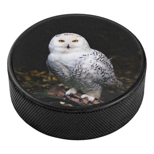 Schneeeule Eishockey Puck (3/4)