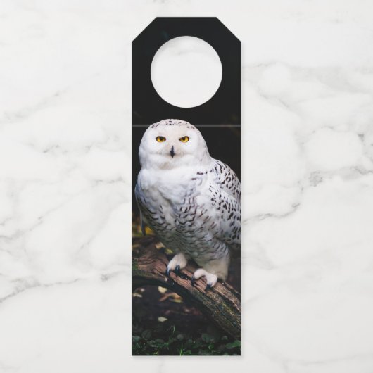 Schneeeule Flaschenanhänger (Rückseite)
