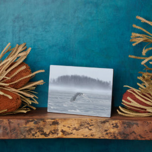 Schneeeule fliegt im Winter Fotoplatte