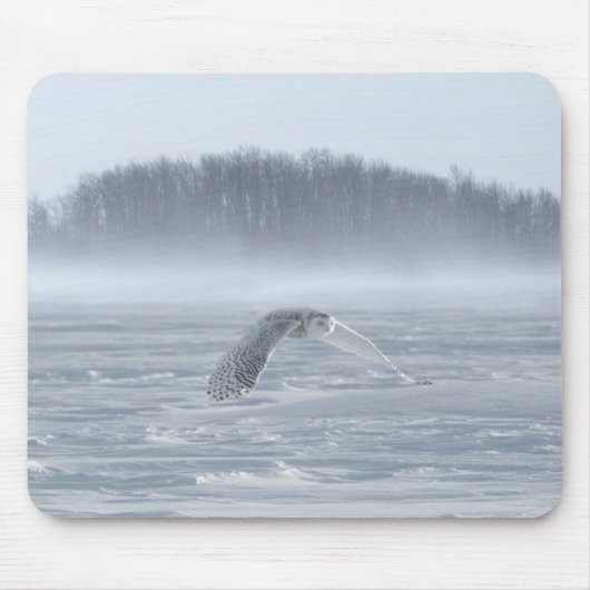Schneeeule fliegt im Winter Mousepad (Vorne)