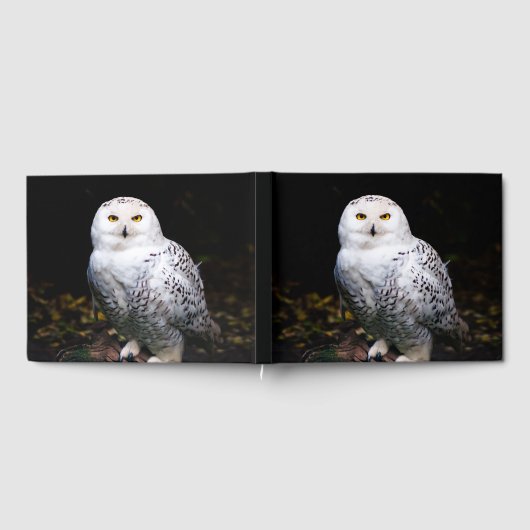 Schneeeule Gästebuch (Voll)