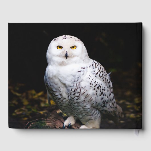 Schneeeule Gästebuch (Rückseite)