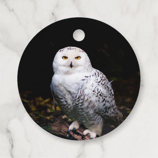 Schneeeule Geschenkanhänger (Rückseite)