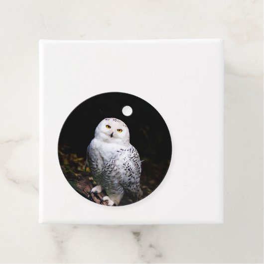 Schneeeule Geschenkanhänger (Beispiel)