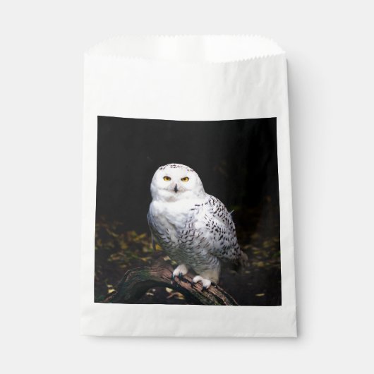 Schneeeule Geschenktütchen (Vorderseite)