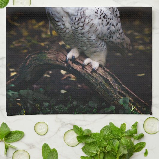 Schneeeule Geschirrtuch (Gefaltet)