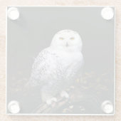 Schneeeule Glasuntersetzer (Rückseite)