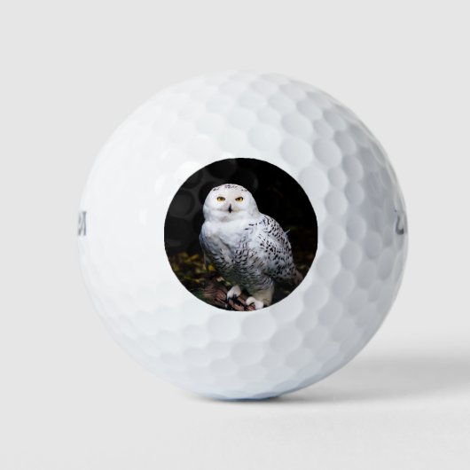 Schneeeule Golfball (Vorderseite)