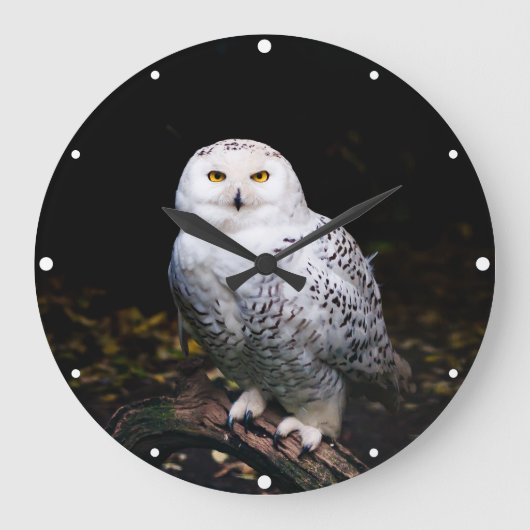 Schneeeule Große Wanduhr (Vorderseite)