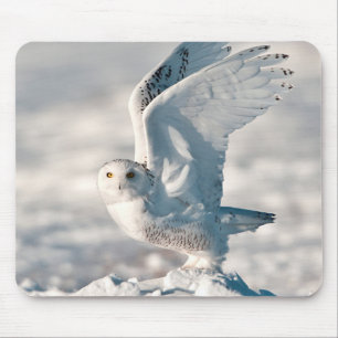 Schneeeule hebt von Schnee ab Mousepad