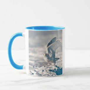 Schneeeule hebt von Schnee ab Tasse