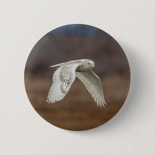 Schneeeule im Flug Button (Vorderseite)