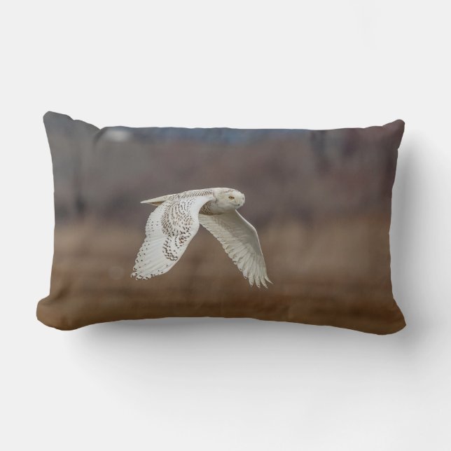 Schneeeule im Flug Lendenkissen (Vorderseite)