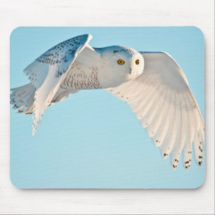 Schneeeule im Flug Mousepad