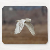 Schneeeule im Flug Mousepad (Vorne)