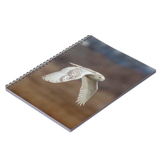 Schneeeule im Flug Notizblock