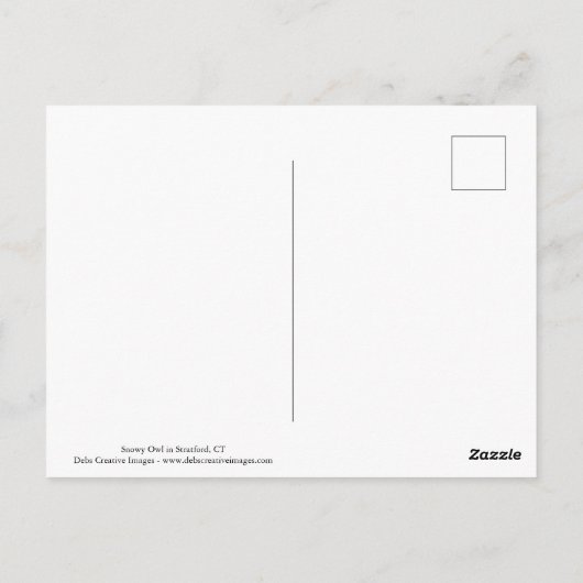 Schneeeule im Flug Postkarte (Rückseite)