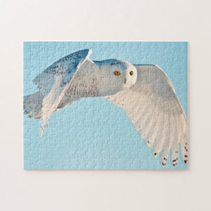 Schneeeule im Flug Puzzle