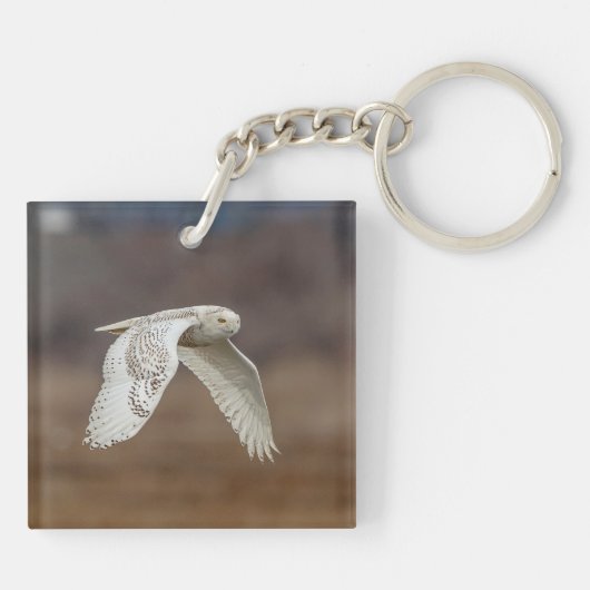 Schneeeule im Flug Schlüsselanhänger (Rückseite)