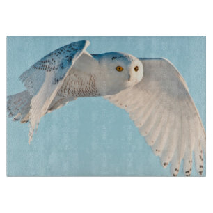 Schneeeule im Flug Schneidebrett