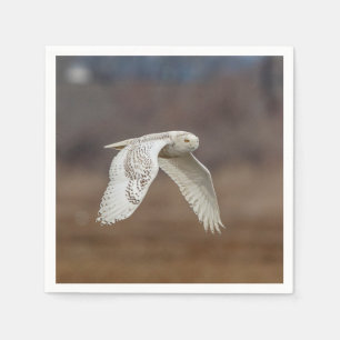 Schneeeule im Flug Serviette