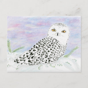 Schneeeule im Winteruntergang Farbige Bleistiftzei Postkarte
