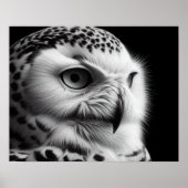 Schneeeule in Schwarzweiß Poster (Vorne)