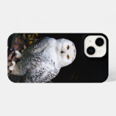 Schneeeule iPhone Hülle (Rückseite (Horizontal))