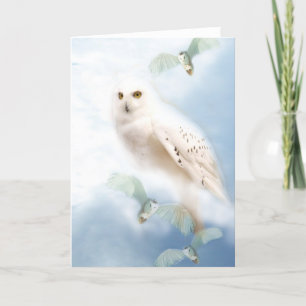 Schneeeule Karte