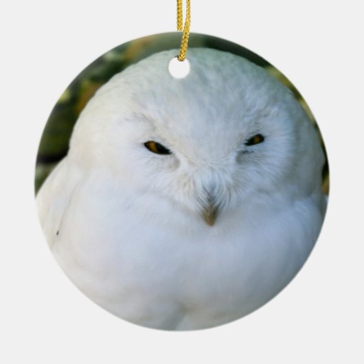 Schneeeule Keramik Ornament (Vorne)