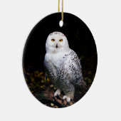 Schneeeule Keramik Ornament (Rechts)