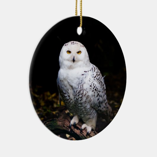 Schneeeule Keramik Ornament (Rechts)