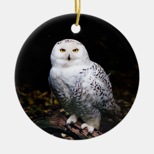 Schneeeule Keramik Ornament (Vorne)