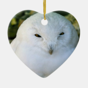 Schneeeule Keramik Ornament
