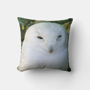 Schneeeule Kissen
