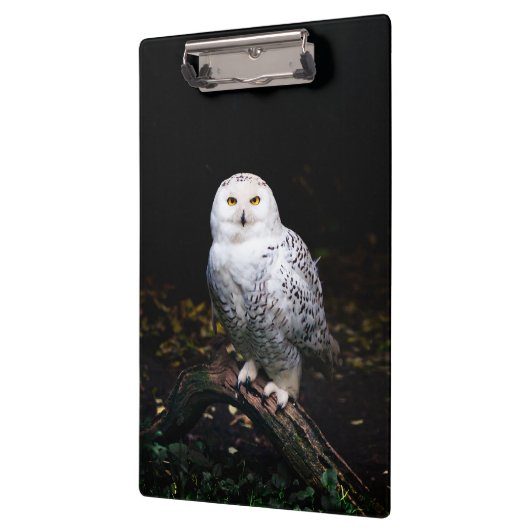 Schneeeule Klemmbrett (Links)