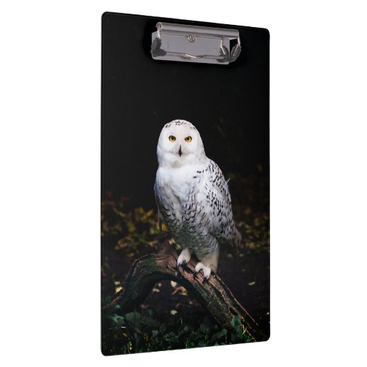 Schneeeule Klemmbrett (Rechts)