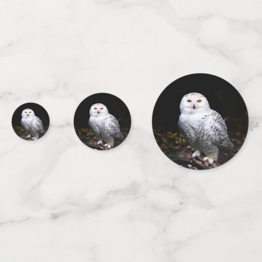 Schneeeule Konfetti (Vorderseiten)