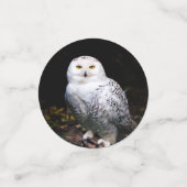 Schneeeule Konfetti (Klein Vorderseite)
