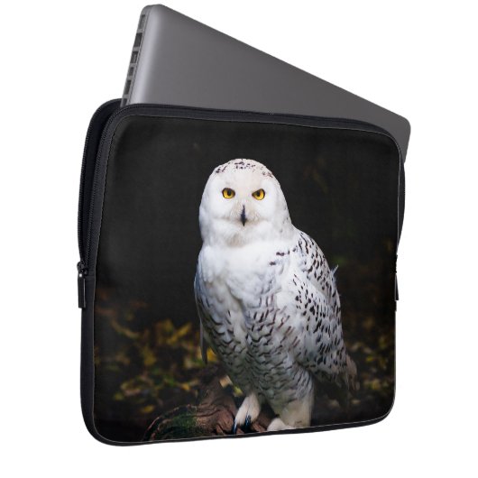 Schneeeule Laptopschutzhülle (Vorne Rechts)