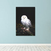 Schneeeule Leinwanddruck (Insitu (Holzboden))